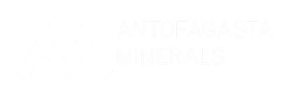 logo-am